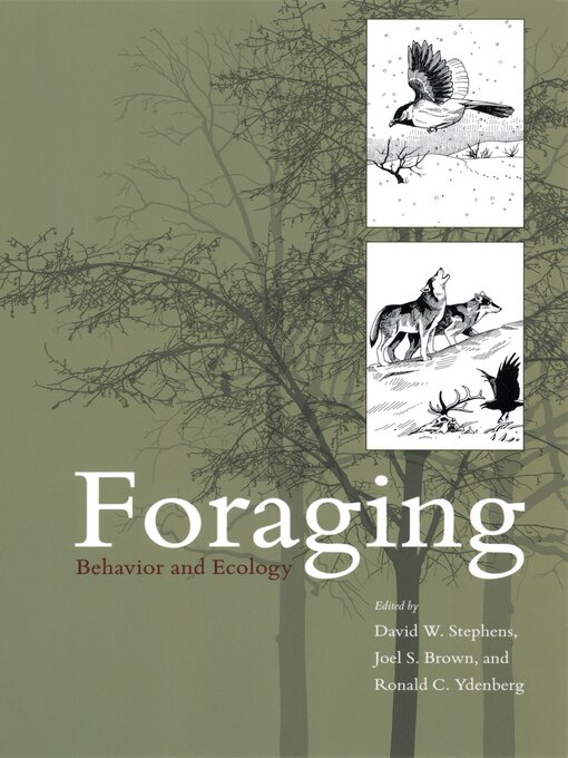 Title details for Foraging by David W. Stephens - Available